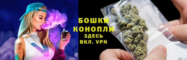 молекула духа Осинники