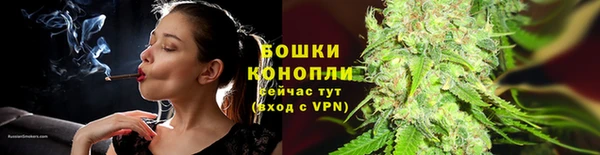 apvp Дмитриев