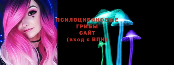 твердый Дмитровск