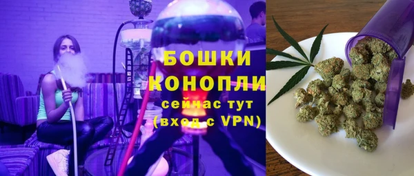 молекула духа Осинники