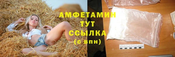 твердый Дмитровск