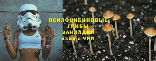 молекула духа Осинники
