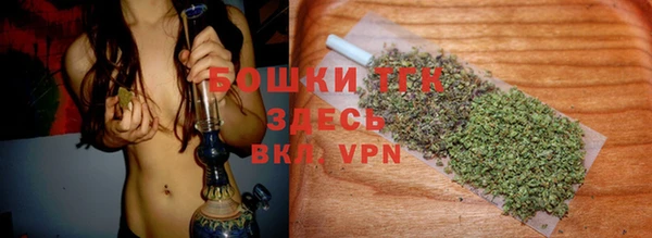 apvp Дмитриев
