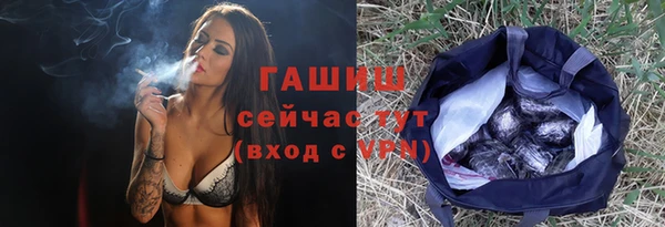 твердый Дмитровск